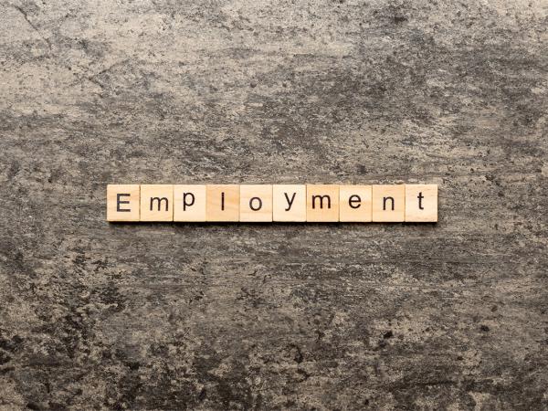 the word 'EMPLOYMENT' is spelt out using wooden scrabble blocks