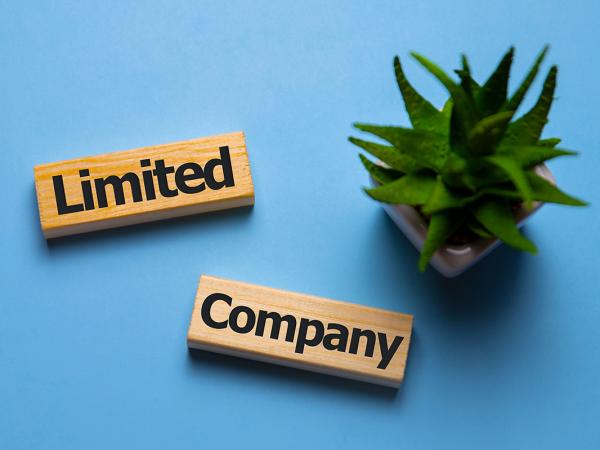a small plant and 2 wooden blocks against a pale blue background, wach wooden block has a word written on it in black text saying 'LIMITED' and 'COMPANY'
