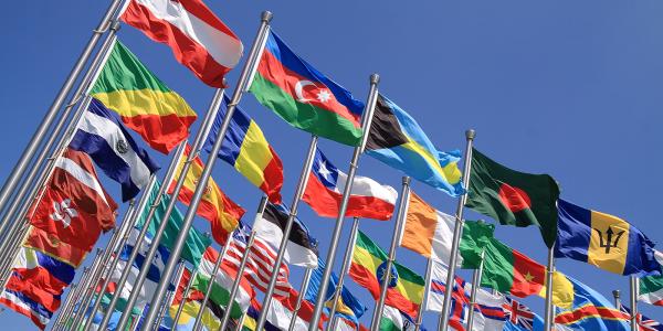 a gallery of flags from around the world blowing in the wind
