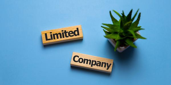 a small plant and 2 wooden blocks against a pale blue background, wach wooden block has a word written on it in black text saying 'LIMITED' and 'COMPANY'