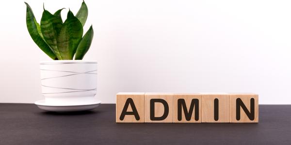 a house plant and wooden blocks spelling out the word 'ADMIN'
