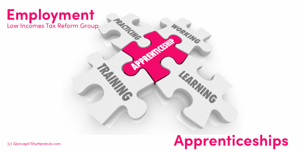 Illustration of jigsaw pieces showing the words apprenticeship, working, practicing, training