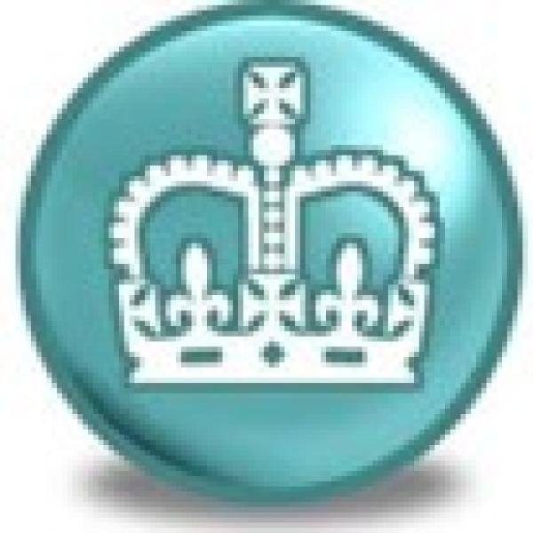 Image of the Basic PAYE tools icon – a light blue circle with a white crown inside. 