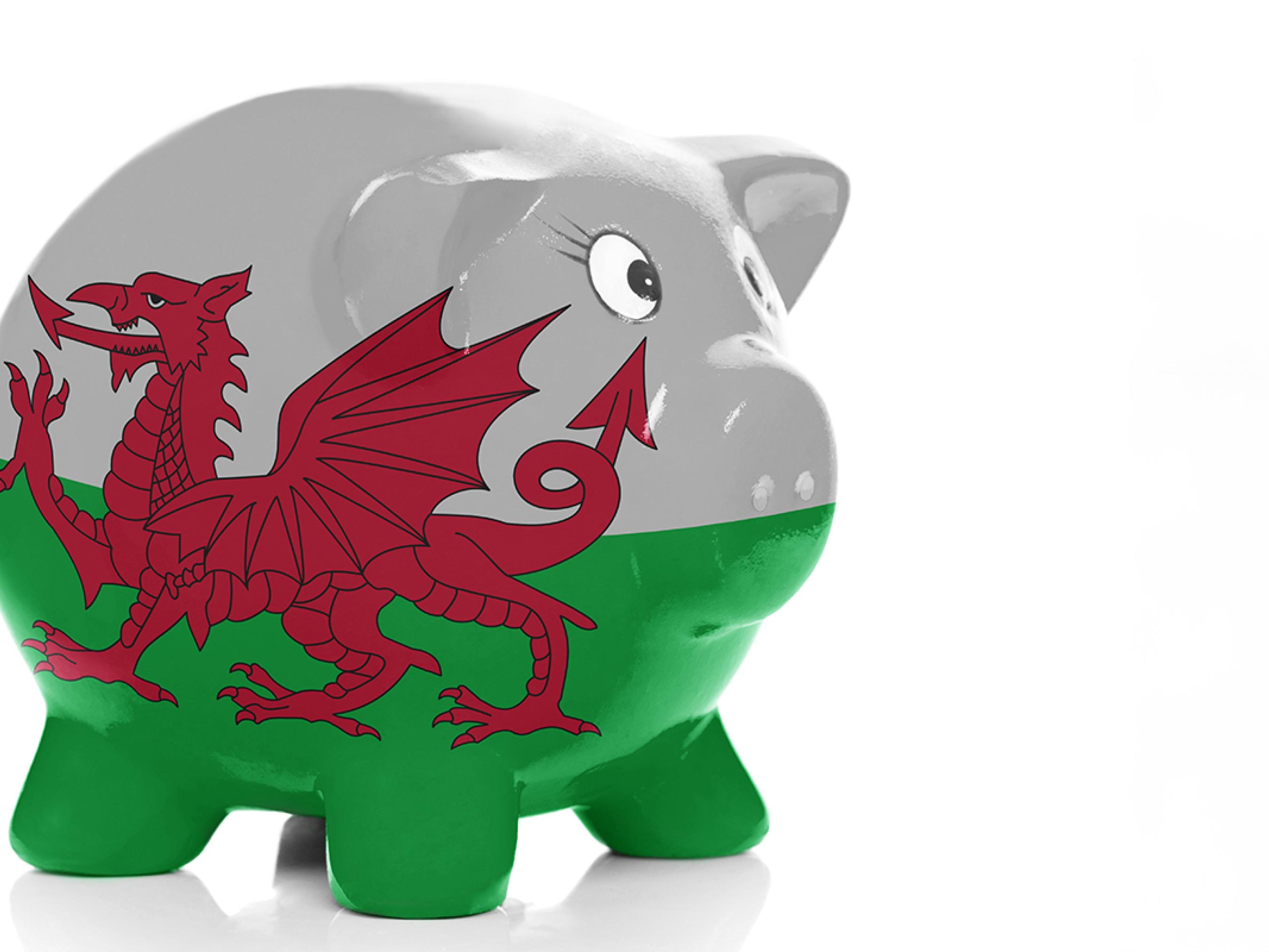 Welsh taxpayers Low Tax Reform Group