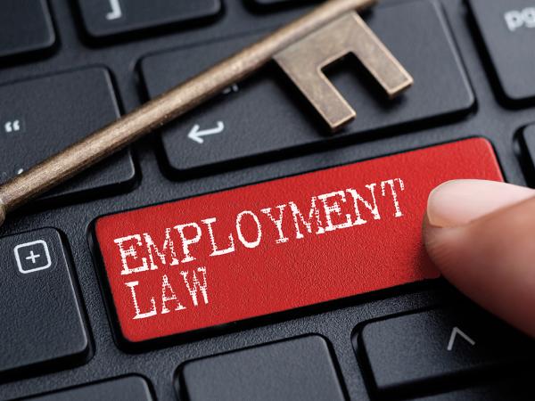 a keyboard with a red key saying 'EMPLOYMENT LAW' next to this is a brass coloured key.