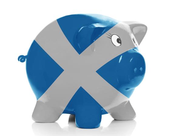 a ceramic piggy bank on a white background decorated with the Scottish flag