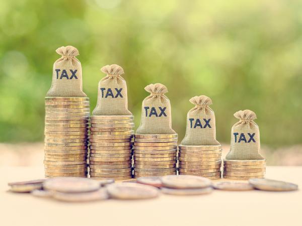 5 stacks of coins, all different heights, gradually getting bigger left to right. on top of each stack is a small burlap sack with the word 'TAX' written on it. the stacks are sat on top of a wooden table, the background shows greenery. 