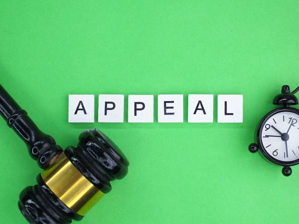 Green background with scrabble tiles spelling out the word 'APPEAL' next to this is a wooden gavel and a small clock.