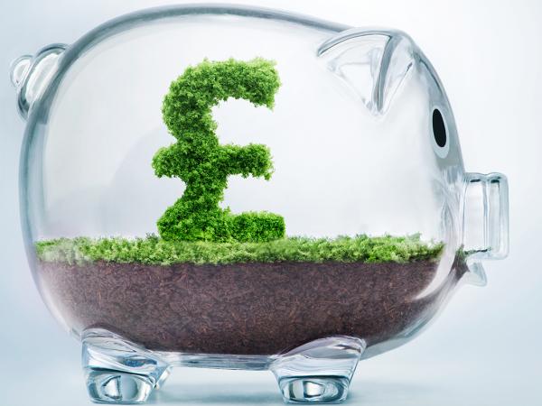 A glass piggy bank with soil, grass and a bush shaped like a '£' inside.