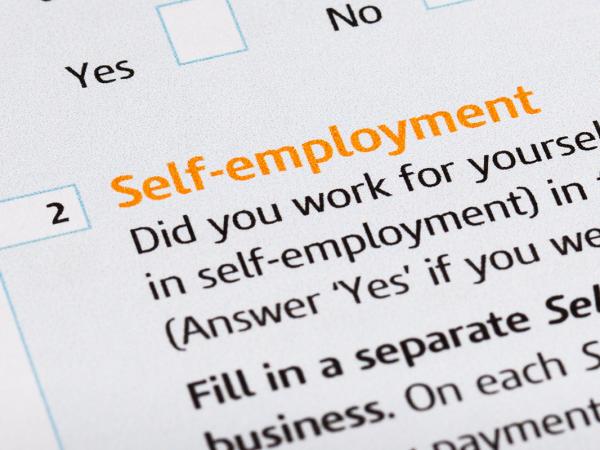 Part of an official form showing section 2 'SELF-EMPLOYMENT'.