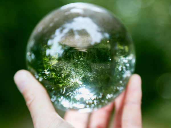 A person holding a glass ball that reflects an i mage of woods with a walk way through the middle.