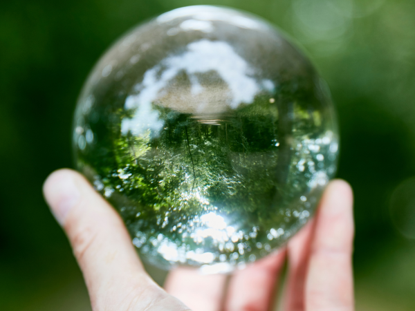 A person holding a glass ball up against a forest, in the ball an upside down image of the forest with a walkway can be seen. 