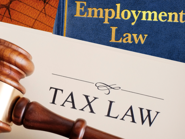 A judges hammer on top of a paper that reads 'TAX LAW' and a book that reads 'EMPLOYMENT LAW' poking out from behind 