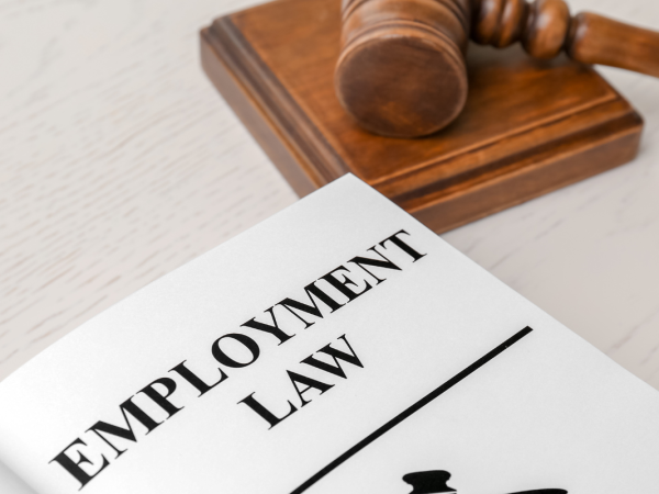 Wooden hammer and gavel next to a paper with the words 'EMPLOYMENT LAW' on it.