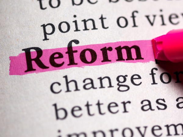 A dictionary showing the word and definition of reform, the word 'REFORM' has been highlighted in pink.