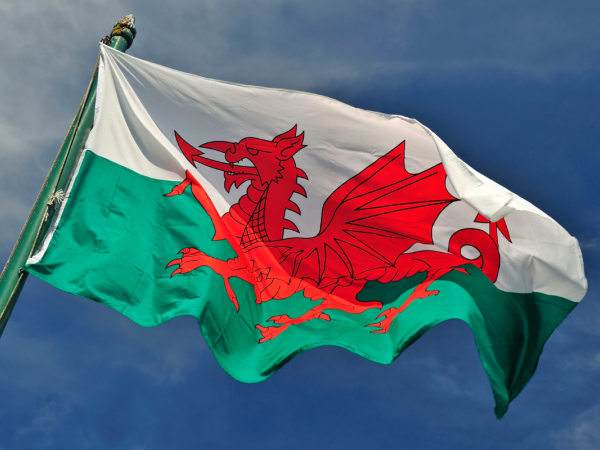 Welsh flag blowing in the wind. 