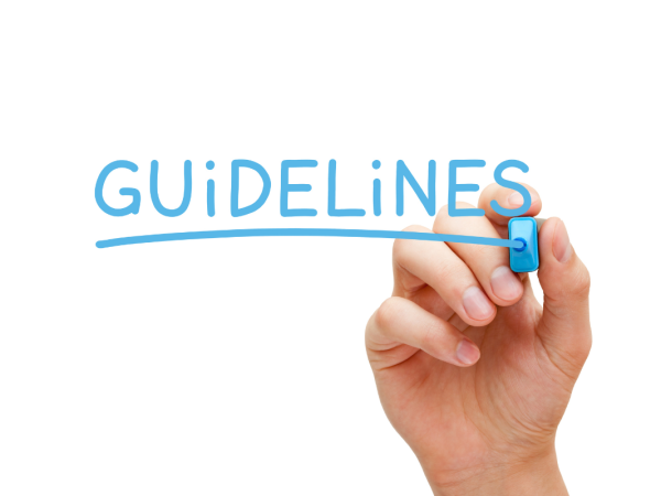 A person writing the word 'GUIDELINES' with a blue pen A person writing the word 'GUIDELINES' with a blue pen