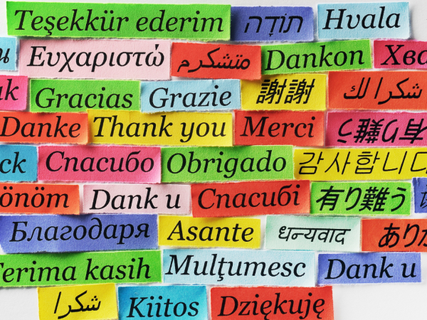 Pieces of coloured paper with writing in different languages