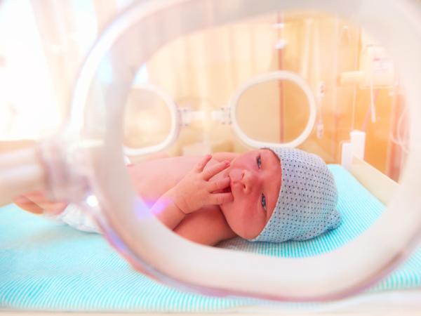 newborn baby lying inside the infant incubator in hospital