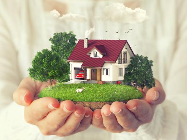 Introduction of cash basis for unincorporated property business