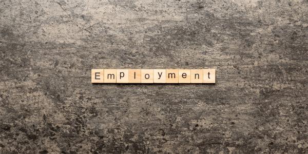 the word 'EMPLOYMENT' is spelt out using wooden scrabble blocks