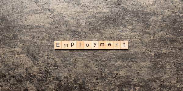the word 'EMPLOYMENT' is spelt out using wooden scrabble blocks the word 'EMPLOYMENT' is spelt out using wooden scrabble blocks