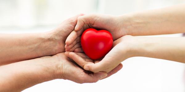 a person cupping a small red heart in their hands, a second person cupping the first persons hands in their own.