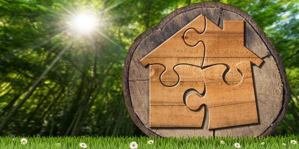 4 wooden jigsaw pieces stuck onto the end of a tree stump making up a house shape, in the background is greenery of a forest, the sun is peeking through