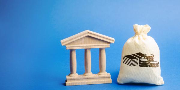 A white bag with images of money on the front, and a figure of a state building.