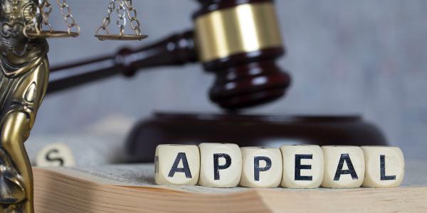 the word 'APPEAL' spelt out in white blocks, behind this a gavel can be seen and on the left a bronze coloured old fashioned weighing scale the word 'APPEAL' spelt out in white blocks, behind this a gavel can be seen and on the left a bronze coloured old fashioned weighing scale