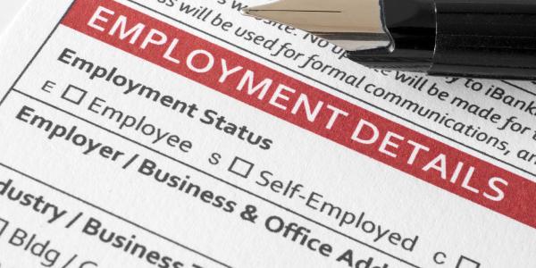 a form showing employment details with boxes to tick for Employed or Self employed a form showing employment details with boxes to tick for Employed or Self employed