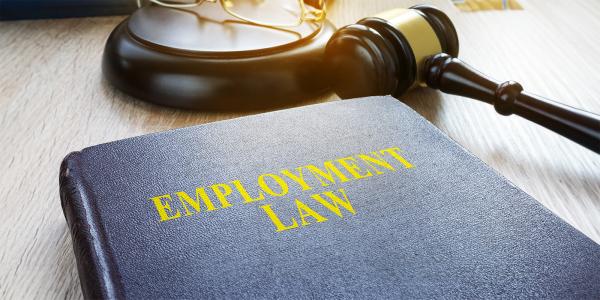 a book with the title 'EMPLOYMENT LAW' and a wooden gavel a book with the title 'EMPLOYMENT LAW' and a wooden gavel