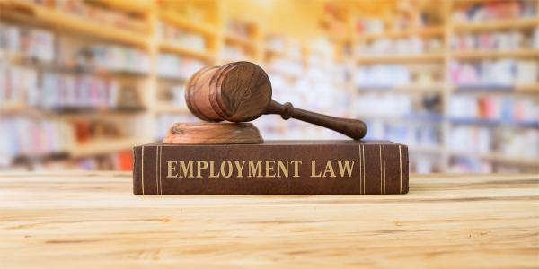 a thick book with the words 'EMPLOYMENT LAW' on the spine, on top of the book sits a gavel. a thick book with the words 'EMPLOYMENT LAW' on the spine, on top of the book sits a gavel.