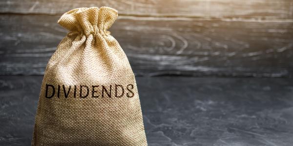 a brown sack with the word 'DIVIDENDS' printed on it a brown sack with the word 'DIVIDENDS' printed on it