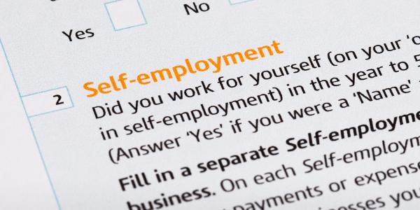 Part of an official form showing section 2 'SELF-EMPLOYMENT'. Part of an official form showing section 2 'SELF-EMPLOYMENT'.