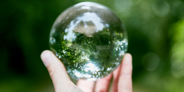 A person holding a glass ball that reflects an i mage of woods with a walk way through the middle. A person holding a glass ball that reflects an i mage of woods with a walk way through the middle.