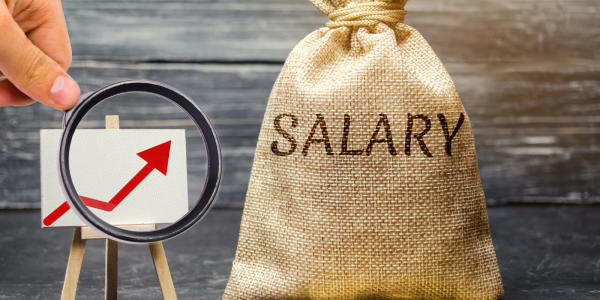 A brown bag with the word 'SALARY' printed on the front next to a graph showing the arrow increasing. A brown bag with the word 'SALARY' printed on the front next to a graph showing the arrow increasing.