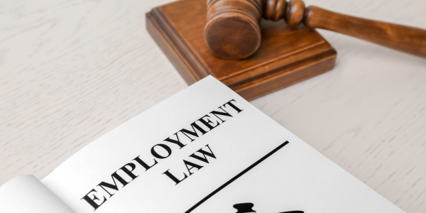 Wooden hammer and gavel next to a paper with the words 'EMPLOYMENT LAW' on it. Wooden hammer and gavel next to a paper with the words 'EMPLOYMENT LAW' on it.