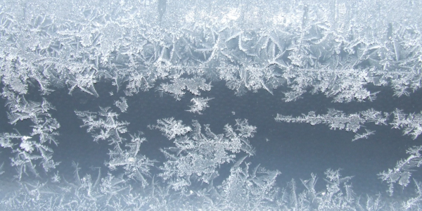 A window iced over A window iced over
