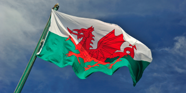 Welsh flag blowing in the wind. Welsh flag blowing in the wind.