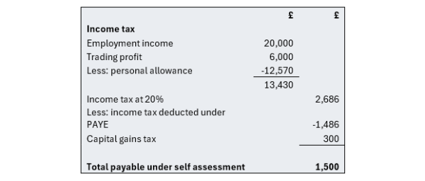 the image shows the calculation of Genoveva’s tax, which deducts the tax already paid at source under PAYE, and includes the capital gains tax. The total payable is £1,500