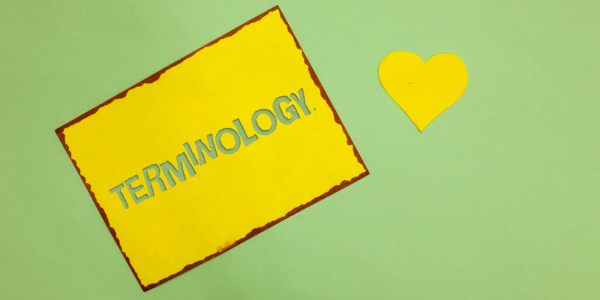 A yellow square with the word 'TERMINOLOGY' written inside A yellow square with the word 'TERMINOLOGY' written inside