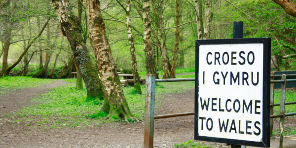 a white sign surrounded by greenery, the sign reads in black text 'CROESO I GYMRU, WELCOME TO WALES' 