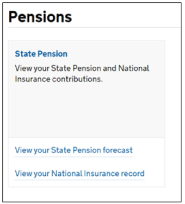 Screenshot of State Pension Insurance contributions website page