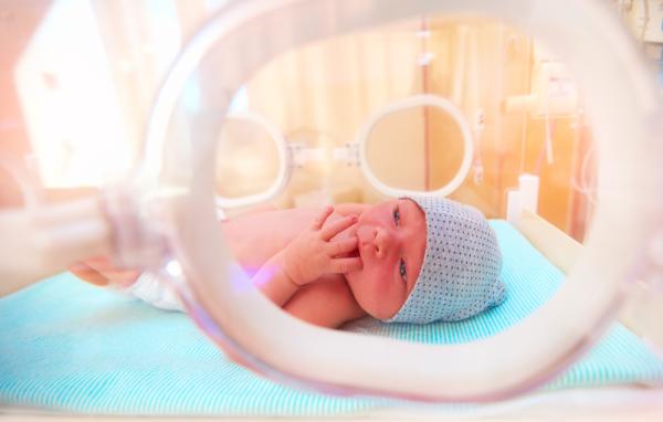 newborn baby lying inside the infant incubator in hospital